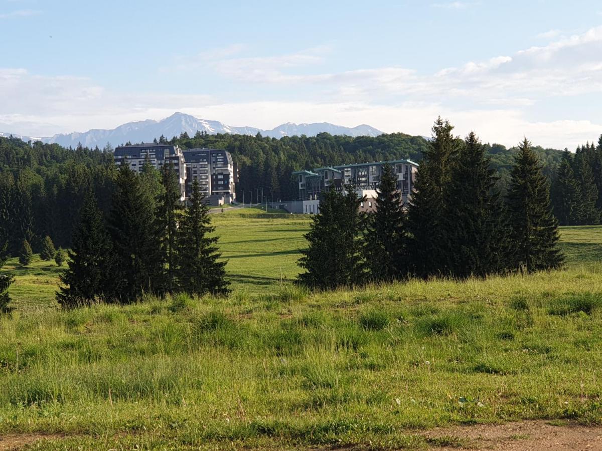 Mariah Spa Deluxe Apartment In Silver Mountain 포이아나브라소프 외부 사진